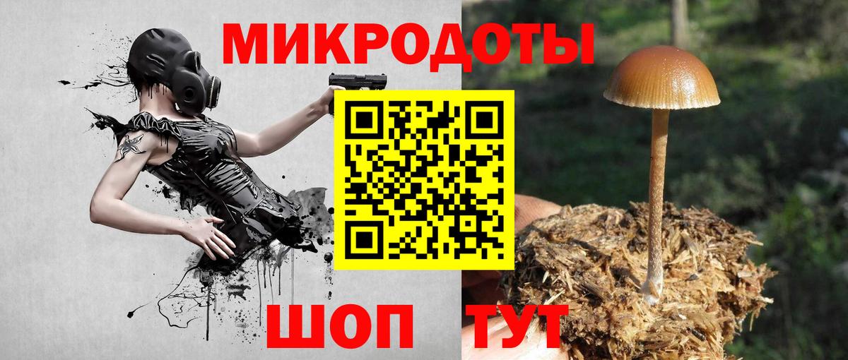 что такое   Псилоцибиновые грибы мицелий  Вход с VPN  Ковров 